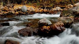 Камни в реке
