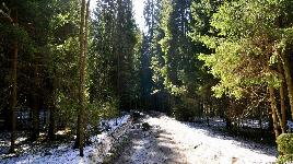Природа - пазл 42