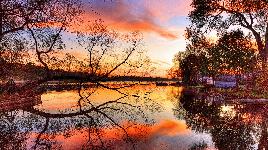 Природа - пазл 53