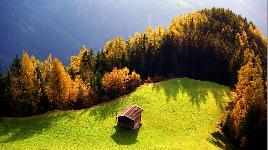 Природа - пазл 54