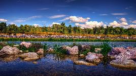 Природа - пазл 56
