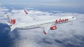 Самолет нового семейства компании Boeing. Основное изменение - использование более мощных и крупных двигателей.