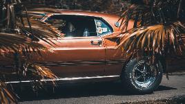 Ford Mustang 1969