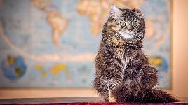 Учим географию