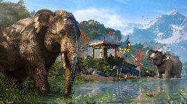 Far Cry 4 - пазл 2