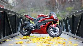 Yamaha YZF-R6